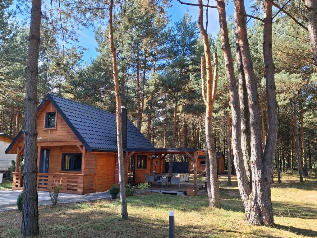 Drewniany domek na wynajem wśród sosen